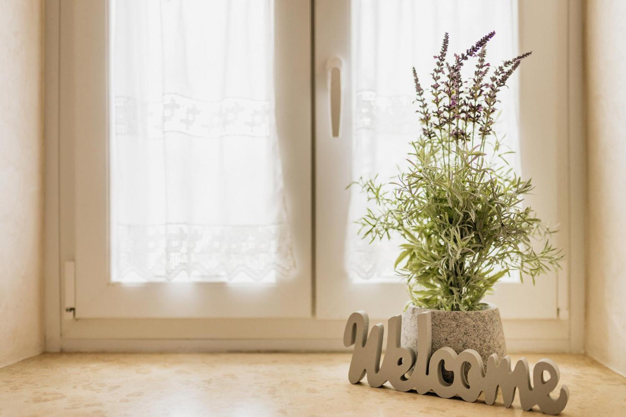 Apartments Mirna Stress Free Babici Εξωτερικό φωτογραφία
